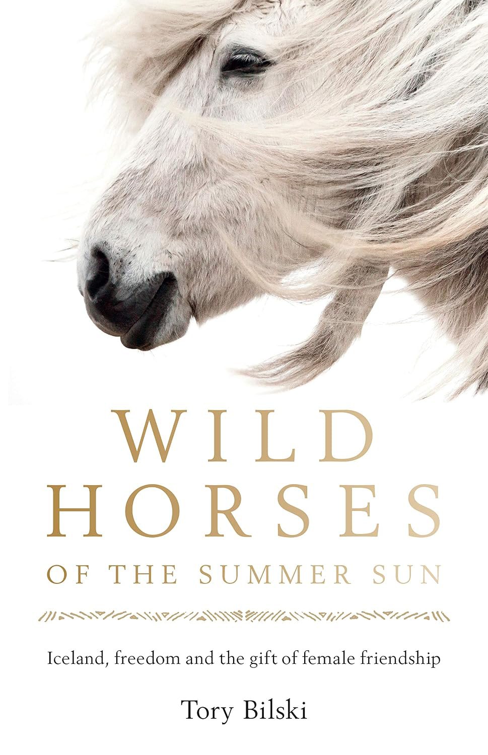Wild Horses of the Summer Sun, the Murdoch Books UK and Commonwealth edition cover