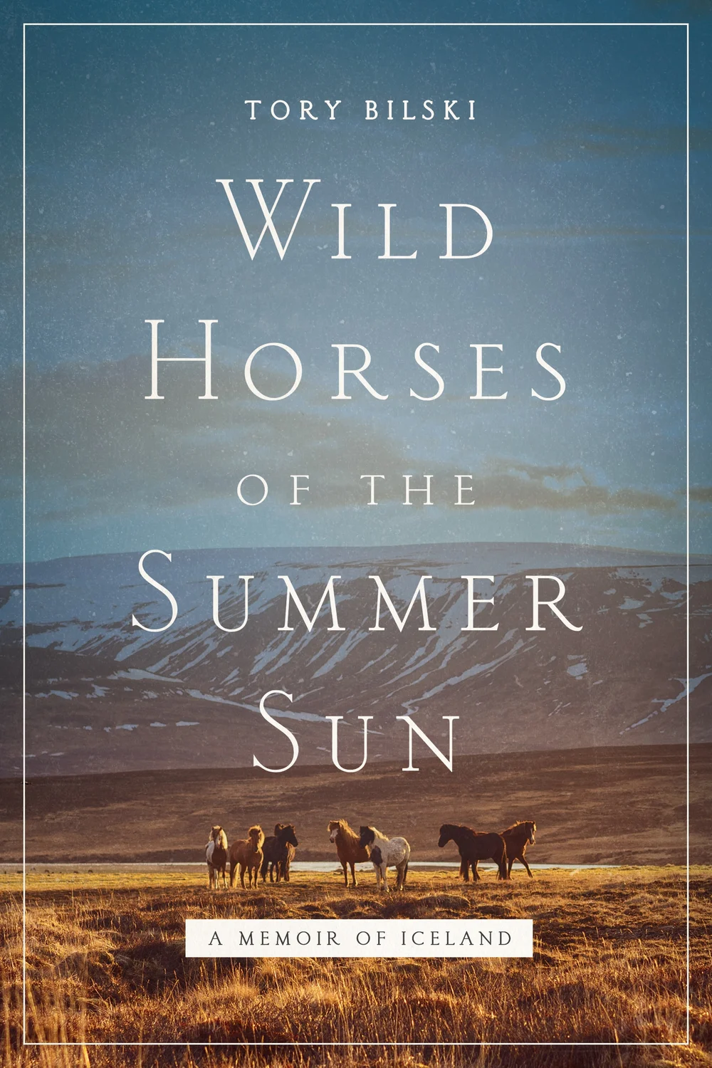 Wild Horses of the Summer Sun, the Pegasus Books US edition cover